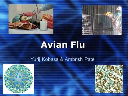Avian Flu Yurij Kobasa & Ambrish Patel. Overview 1. Background Information 2. Brief overview of genome structure 3. Origin/History 4. Geographical Distribution.