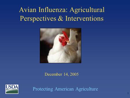 Protecting American Agriculture 1 Avian Influenza: Agricultural Perspectives & Interventions December 14, 2005.