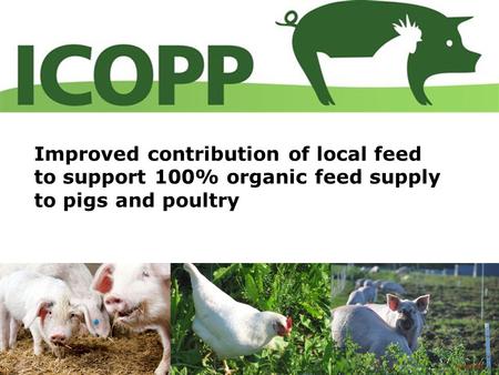 Improved contribution of local feed to support 100% organic feed supply to pigs and poultry 1.