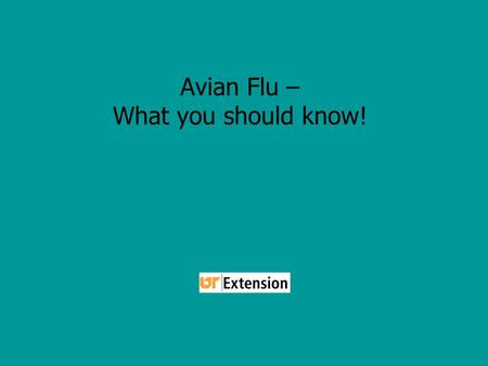 Avian Flu – What you should know!