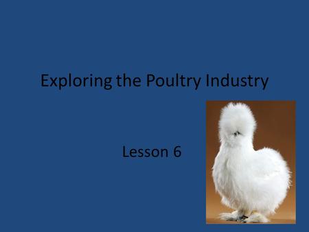 Exploring the Poultry Industry Lesson 6. Next Generation Science/Common Core Standards Addressed! HS‐LS2‐1. Use mathematical and/or computational representations.