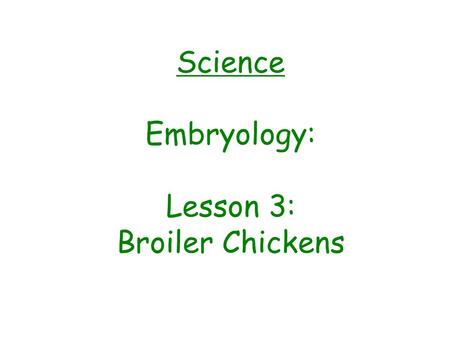 Science Embryology: Lesson 3: Broiler Chickens The BIG Question: What are the two types of chickens and the differences between them?