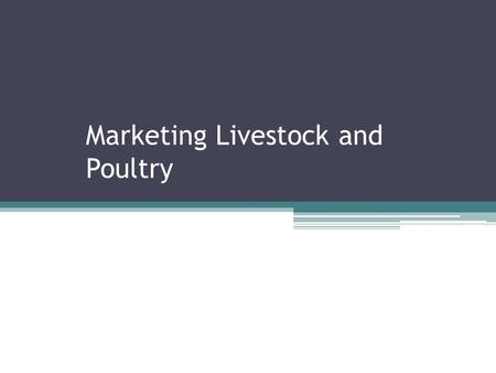 Marketing Livestock and Poultry. Objectives Describe the methods used to market livestock and poultry Compare methods of marketing livestock. Critique.