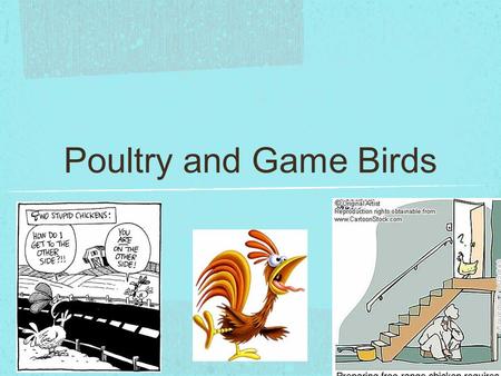 Poultry and Game Birds.