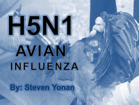  Refers to an illness caused by any of many different strains of influenza viruses that have adapted to a specific host.  It considers as a flu.  You.