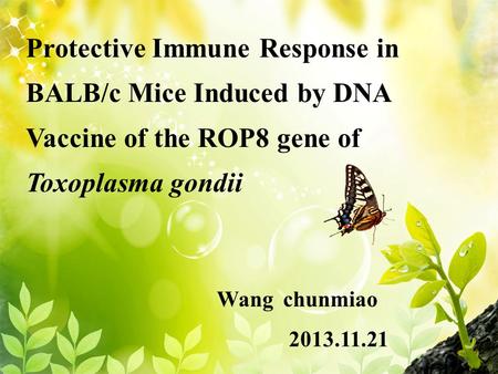 Protective Immune Response in BALB/c Mice Induced by DNA Vaccine of the ROP8 gene of Toxoplasma gondii Wang chunmiao 2013.11.21.