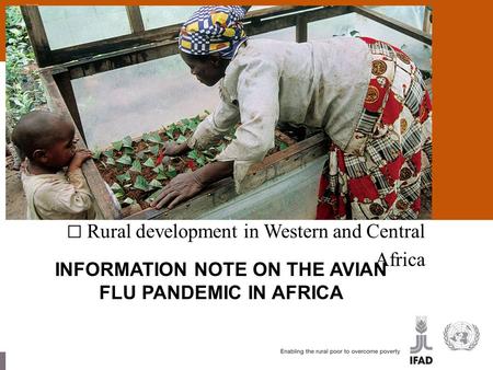 Rural development in Western and Central Africa INFORMATION NOTE ON THE AVIAN FLU PANDEMIC IN AFRICA.