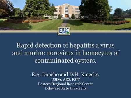 Rapid detection of hepatitis a virus and murine norovirus in hemocytes of contaminated oysters. B.A. Dancho and D.H. Kingsley USDA, ARS, FSIT Eastern Regional.
