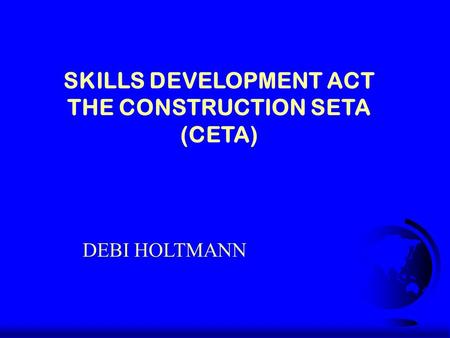 DEBI HOLTMANN SKILLS DEVELOPMENT ACT THE CONSTRUCTION SETA (CETA)