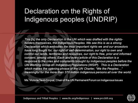 Declaration on the Rights of Indigenous peoples (UNDRIP)