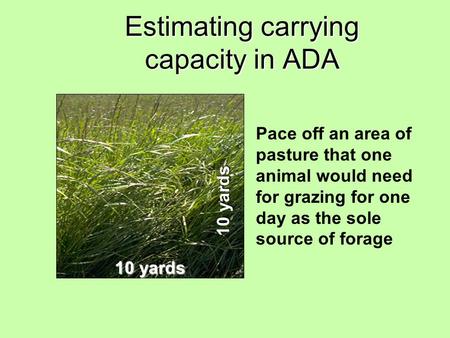 Estimating carrying capacity in ADA 10 yards Pace off an area of pasture that one animal would need for grazing for one day as the sole source of forage.