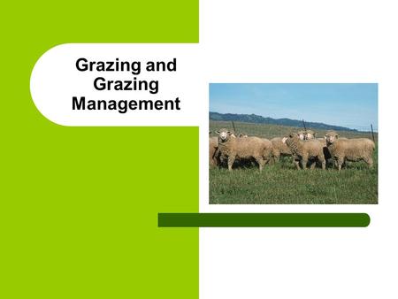 Grazing and Grazing Management. Positive Impacts Proper management – Reduced erosion – Improved water quality – Food for wildlife – Habitat and cover.