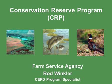 Conservation Reserve Program (CRP) Farm Service Agency Rod Winkler CEPD Program Specialist.