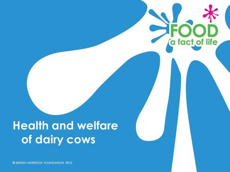 © BRITISH NUTRITION FOUNDATION 2012 Health and welfare of dairy cows.