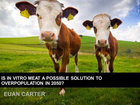EUAN CARTER IS IN VITRO MEAT A POSSIBLE SOLUTION TO OVERPOPULATION IN 2050?