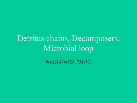 Detritus chains, Decomposers, Microbial loop