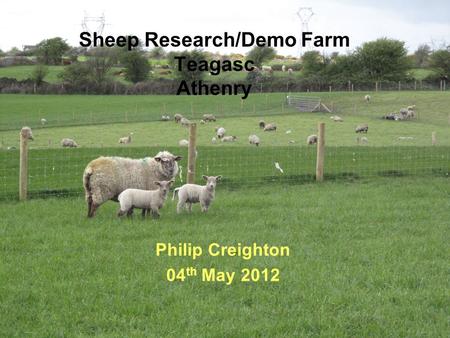 Sheep Research/Demo Farm Teagasc Athenry Philip Creighton 04 th May 2012.