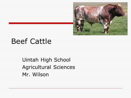 Uintah High School Agricultural Sciences Mr. Wilson