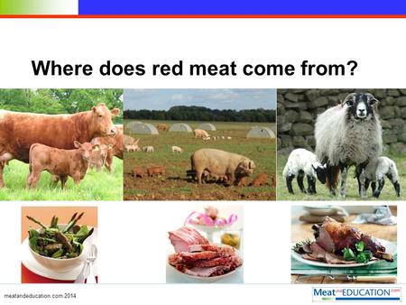 Where does red meat come from? meatandeducation.com 2014.