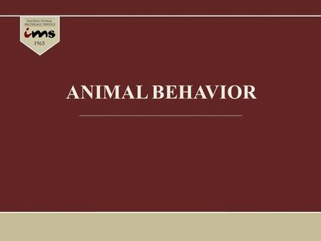ANIMAL BEHAVIOR. Introduction The behavior represents the interface between an animal and its environment. Behavioral responses are usually the most flexible.
