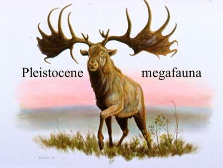 Pleistocene megafauna. Reference sites University of Texas at Austin:  Denver Museum of.