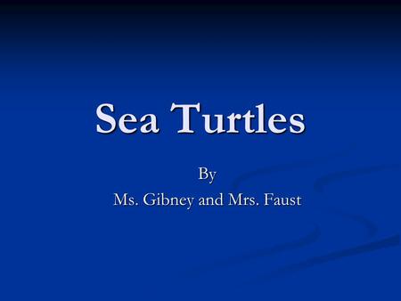 Sea Turtles By Ms. Gibney and Mrs. Faust. Habitat Tropical and subtropical seas throughout the world.