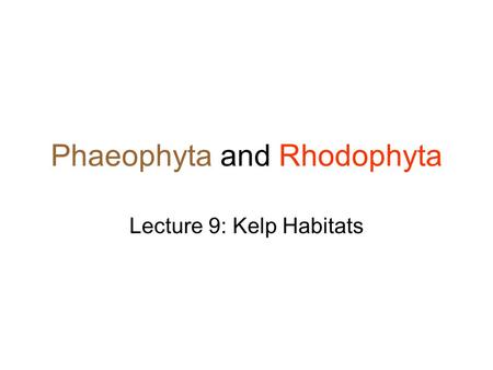 Phaeophyta and Rhodophyta