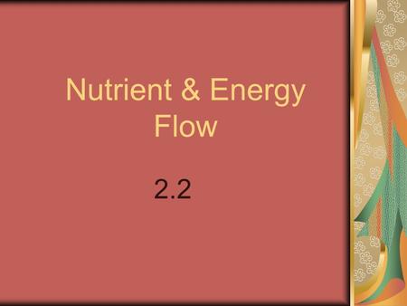 Nutrient & Energy Flow 2.2. I. Producers vs. Consumers A. Producers / Autotrophs- Organisms that can make their own food/sugars. 1. Plants are autotrophs.