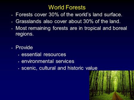 World Forests Forests cover 30% of the world’s land surface.
