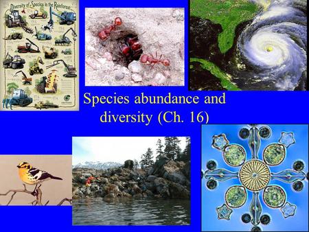 Species abundance and diversity (Ch. 16). New Unit: Communities/Ecosystems Community: Interacting species in defined area. Functional groups: subdivide.