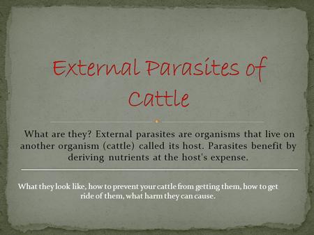 What are they? External parasites are organisms that live on another organism (cattle) called its host. Parasites benefit by deriving nutrients at the.
