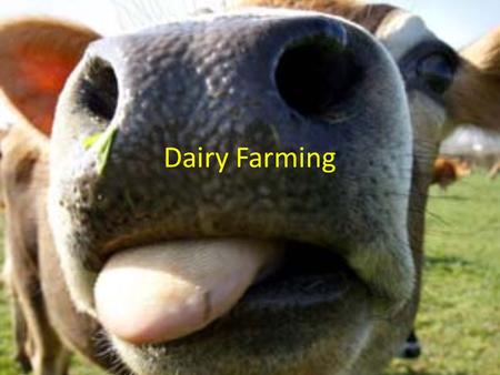 Dairy Farming.