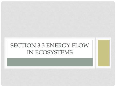 Section 3.3 Energy Flow in Ecosystems