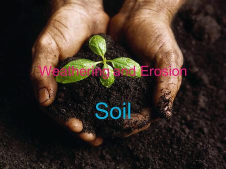 Weathering and Erosion Soil. Target #10- I can define the term “soil” One result of weathering is the formation of soil –Soil: a loose mixture of rock.