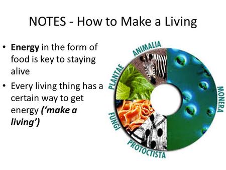 NOTES - How to Make a Living Energy in the form of food is key to staying alive Every living thing has a certain way to get energy (‘make a living’)