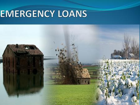 1. 2  FSA provides emergency loans to help producers recover from production and physical losses due to drought, flooding, other natural disasters, or.
