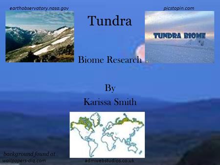 Tundra Biome Research By Karissa Smith admwebstudios.co.uk earthobservatory.nasa.govpicstopin.com background found at wallpapers-diq.com.
