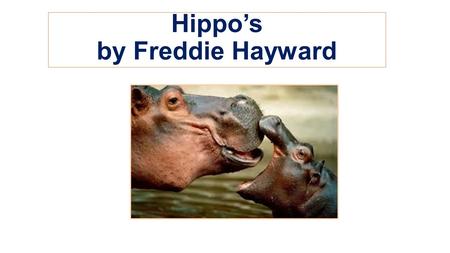 Hippo’s by Freddie Hayward. Hippo Fact File Scientific name: Hippopotamus amphibious Scientific name Speed: 30 km/h (On Land, Running) Speed Weight: 1,500.