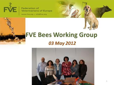 FVE Bees Working Group 03 May 2012 1. NameNominated by Mr Nicolas Vidal-NaquetFrance - Ordre des Vétérinaires Conseil Supérieur Chair Ms Giuliana BondiItaly.