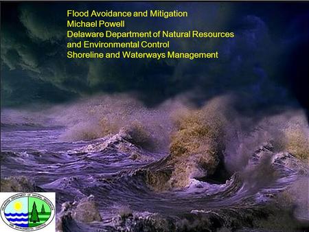 Flood Avoidance and Mitigation