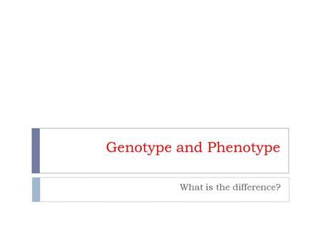 Genotype and Phenotype What is the difference?. Review Words  Characteristics – are the category of a trait –  Example – eye color, height, likes/dislikes.