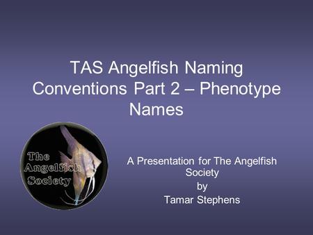 TAS Angelfish Naming Conventions Part 2 – Phenotype Names A Presentation for The Angelfish Society by Tamar Stephens.