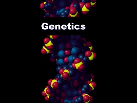 Genetics The Nature/Nurture Debate How great is the influence of genes or environment on our behavior, personality, biology, etc.?