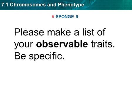 Please make a list of your observable traits. Be specific.