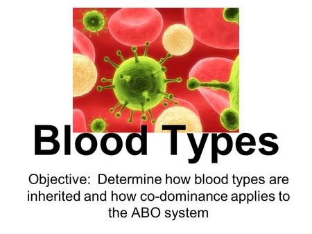 Blood Types Objective: Determine how blood types are inherited and how co-dominance applies to the ABO system.