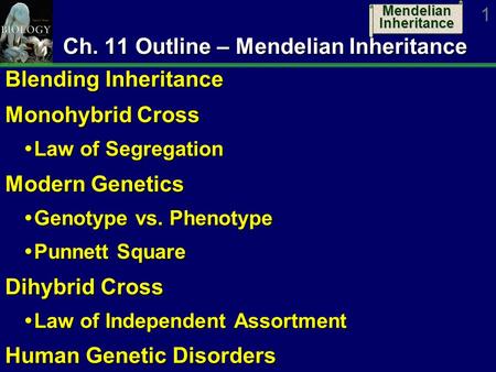 Ch. 11 Outline – Mendelian Inheritance