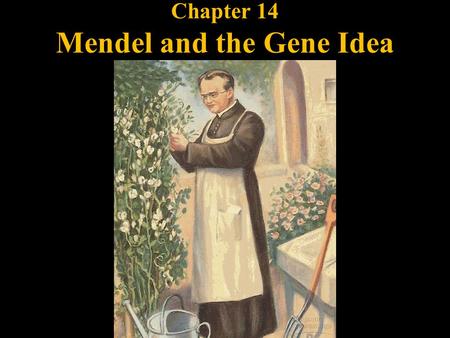Chapter 14 Mendel and the Gene Idea. Law of Segregation: