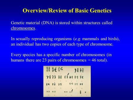 Overview/Review of Basic Genetics Genetic material (DNA) is stored within structures called chromosomes. In sexually reproducing organisms (e.g. mammals.