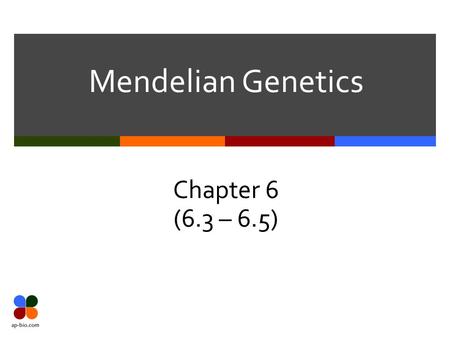 Mendelian Genetics Chapter 6 (6.3 – 6.5).