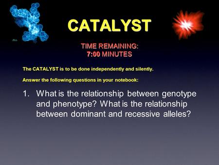 CATALYST The CATALYST is to be done independently and silently. Answer the following questions in your notebook: 1. What is the relationship between genotype.